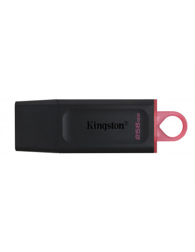 Memoria USB Kingston Technology DTX 256G