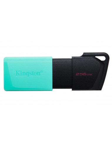 Memoria USB de 256GB Kingston DTXM 256GB (Black + Teal) - 